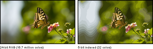 Posterisation caused by palette quantisation